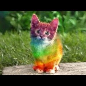 Meet your Posher, Tegan